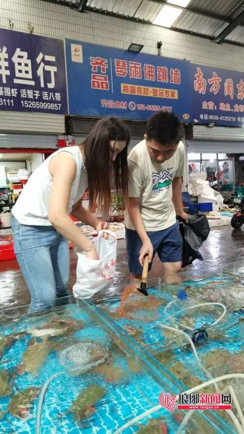 蔬菜市場零售均價環比下降，新鮮水果與梭子蟹齊上市，品味秋日第一口鮮