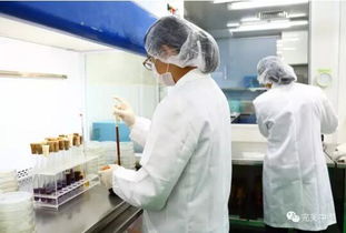 完美構筑嚴謹的產品售后質量管理體系在互聯網銷售中的應用