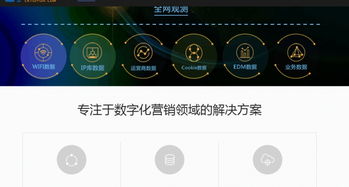 專業互聯網營銷服務 定制方案與多樣化產品助力業務增長